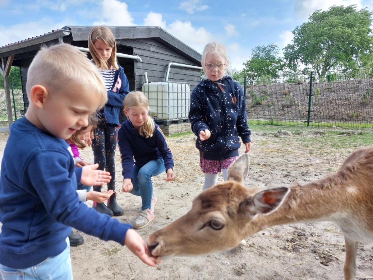 Strandcamping Valkenisse 3* Biggekerke